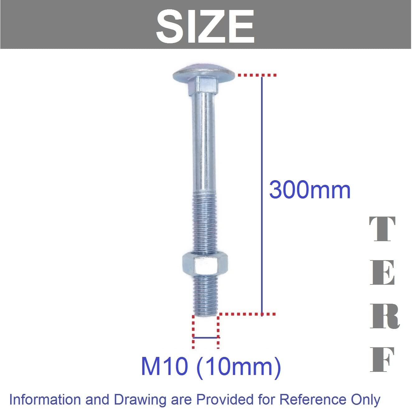 TERF® Pernos y tuerca M10 de 300 mm con tuercas hexagonales M10 (10 mm) x 300 mm, 4 unidades