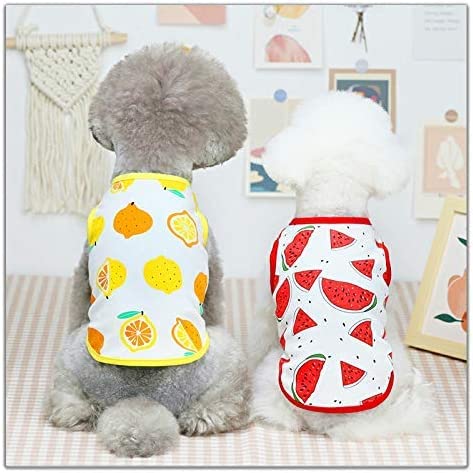 Amazon | 春物夏物犬服フルーツ柄タンクトップ犬用わんちゃん夏服