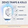 Zevo 2 Flying Insect Traps & 2 Refill Cartridges - Plug in Fly Trap & Indoor Bug Catcher for Gnats, House & Fruit Flies - Blue & UV Light Technology, Mess-Free Alternative to Bug Zapper #3