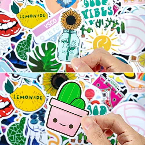 100 Pack Stickers For Water Bottles, Laptop Stickers Aesthetic Waterproof Trendy Vinyl Stickers For Skateboard Guitar Travel Case Phone Cute Computer Stickers For Kids Girls Teens #TOP6