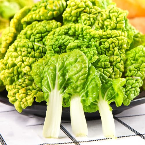 Comprar plantas de col china semillas y plantas de hortalizas col china verduras balcón invernadero semillas bonsái, hortalizas orgánicas exóticas resistentes interior exóticas verdes 400pcs