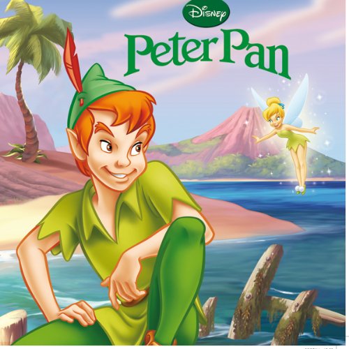 Amazon.com: Peter Pan ( en francais ) (French Edition): 9782014638936 ...