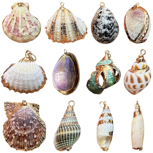 12 colgantes naturales de conchas marinas, dijes de concha de caurí para collares, pulseras, llaveros y decoración, talla única, Concha natural, No es una piedra preciosa