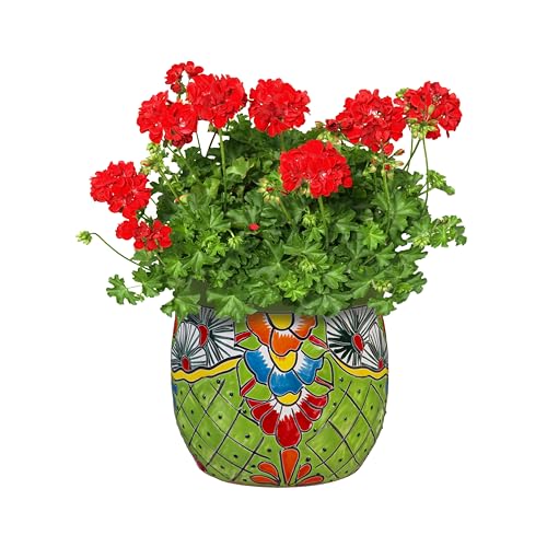Evergreen Garden Talavera - Maceta decorativa de cerámica mexicana de 9 pulgadas, color verde, maceta para plantas suculentas, interiores y exteriores