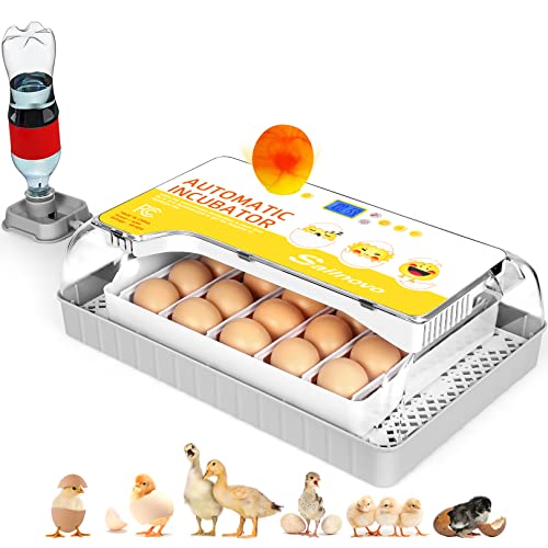Top 10 Incubator For Quail Eggs of 2022 Katynel