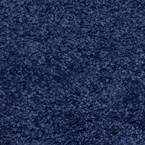 Image of Plush Shag Area Rug for Living Room, 244 cm x 305 cm, Brown (Blue, 2X2 FEET)
