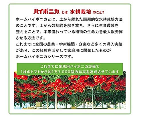 Amazon.co.jp: 協和ハイポニカ ホームハイポニカプクプク 水耕
