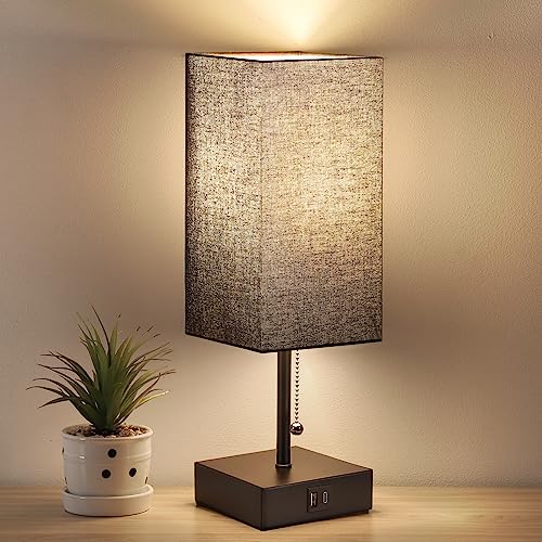 GGOYING USB Bedside Table Lamp, Pull Chain Nightstand