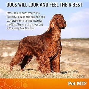 Pet Md Salmon Oil Omega 3 for Dogs  Advanced Allergy  Itch Relief for Dogs  Omega 3  6 Epa  Dha Fish Oil Omega 3 Soft Chews  120 Count  Cucciolini Doodles Pet md salmon oil omega 3 for dogs  advanced allergy  itch relief for dogs  omega 3  6 epa  dha fish oil omega 3 soft chews  120 count   cucciolini doodles