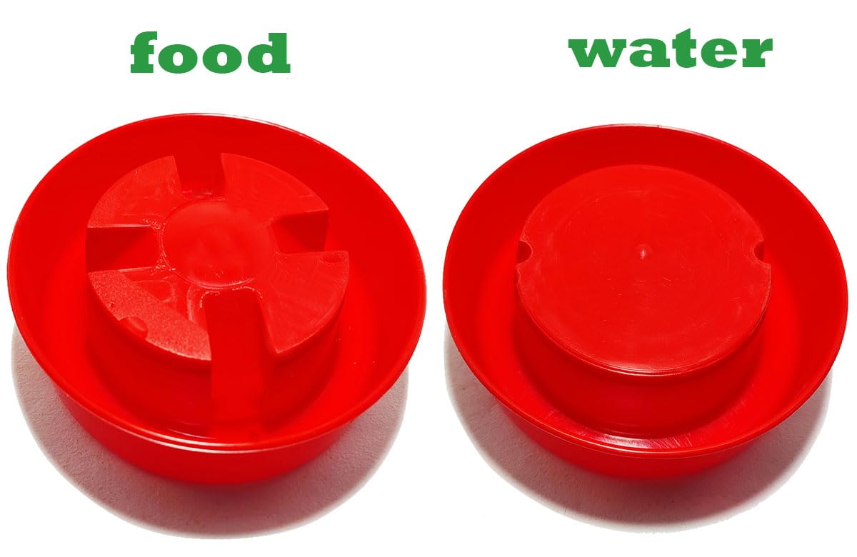 GreenRock Bird Feeder & Drinker Combo - 4 Pack -2 GreenRock Bird Feeder & Drinker Combo - 4 Pack -2