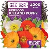 4,000 Iceland Poppy Heirloom Flower Seeds for Planting, Papaver Nudicaule