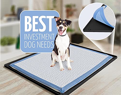 Image of Skywin TidyFriend 2 Pk Pee Pad Holder Tray for 30 inch x 23 inch Pee Pads with Corner Lock Holes, Raised Edges, Non-Spill, Easy to Clean Silicone Dog Potty Tray Holder, for Indoor Floor Protection (Black)
