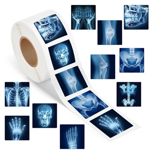 500PCS Radiology X Ray Stickers Roll Radiology Favors Birthday Decorations Waterproof Stickers for Xray Tech Gifts Water Bottle Laptop Luggage Envelope