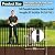Decorative Garden Fence, 10 Panels No Dig Fence, 32 in(H) x 24.16 ft(L) Animal Barrier for Dogs Rabbits, Rustproof Metal Arched Decorative Garden Fences for Flower Bed, Outdoor, Yard, Patio