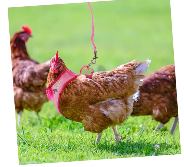 Image of Chicken Harness with Leash for Small Pets, Adjustable Elastic Breathable Vest for Hens Ducks Geese Outdoor Walking Training