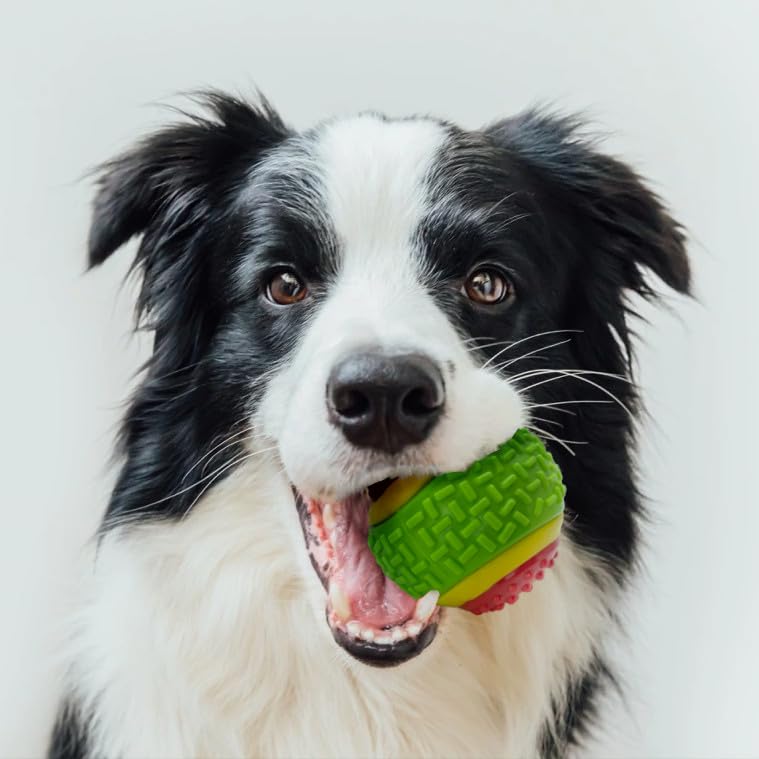 Pelota interactiva para perros con sonido chirriante 3.2" miniatura 2