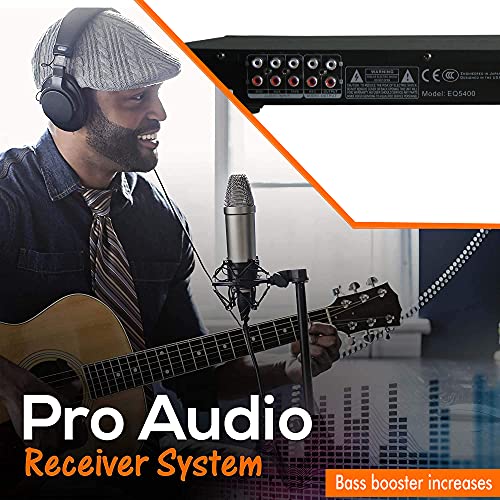 Technical Pro Dual 10 Band Professional Stereo Equalizer with Individual LED Indicators - Thumbnail 6