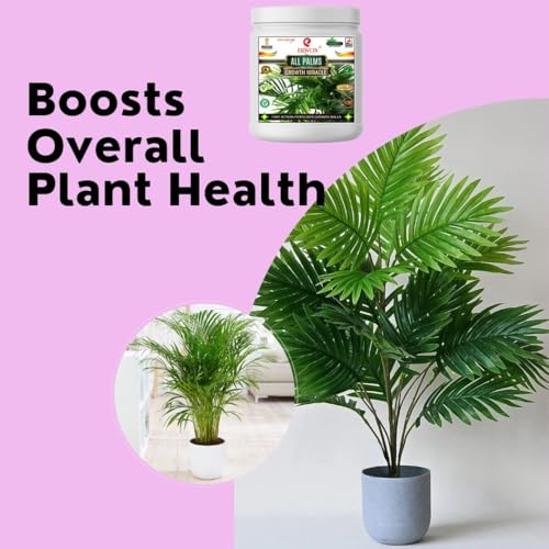 Image of Erwon All Palms GROWTH MIRACLE Fertilizer, Fast Action Organic Granules for rapid Overall Healthy Growth of all palms Plants. (900 gm)