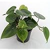 Product Photo 2