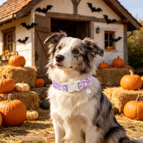 Image of ARING PET Halloween Dog Collar for Puppy Small Medium Large Dog-Purple XS | Cute Festival Spooky Night Ghost Doggy Collars for XS S M L XL Boy Girl Dog, Soft Comfy Sturdy, Trick or Treat Party Parade