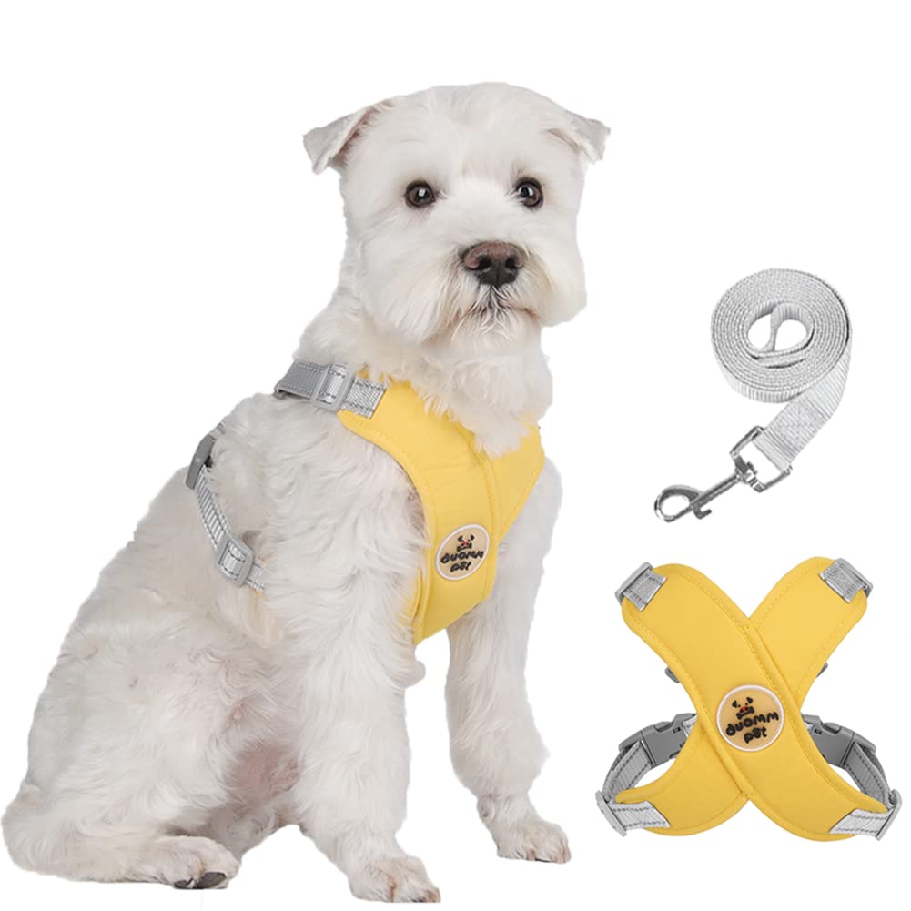 FEimaX Dog Harness Pet X Frame No Pull Step-in Harnesses with Leash Set, Adjustable Reflective Choke Free Puppy with Padded Vest for Small, Medium