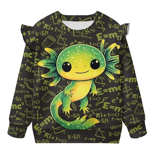 Toddler Sweatshirt Ruffle Long Sleeve Shirts for Girls 1-8Y Outdoor Travel Casual Tees Tops4