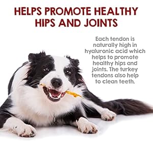 Rileys turkey tendons for canines made in the usa  sourced in the usa  single ingredient canine treats  all pure turkey tendon chews for canines  4 oz   cucciolini doodles