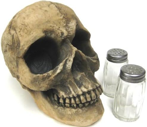 Creepy Human Skull Salt & Pepper Shaker Set