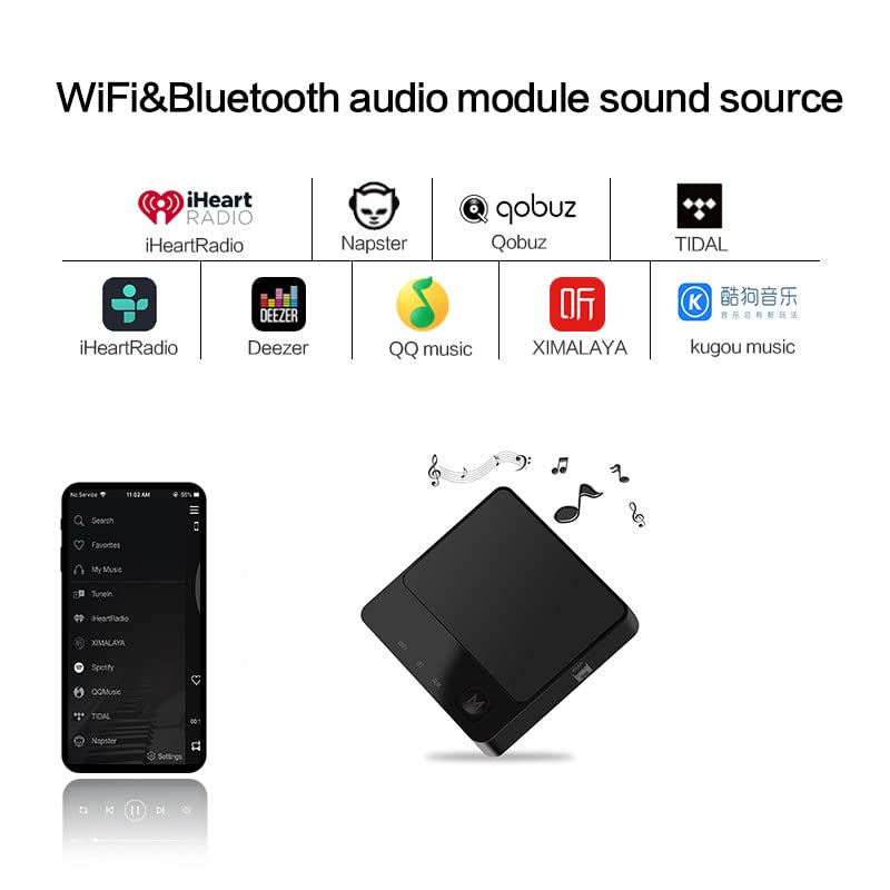 Audiocast Wireless WiFi Audio Receiver Multiroom Adapter for Speaker