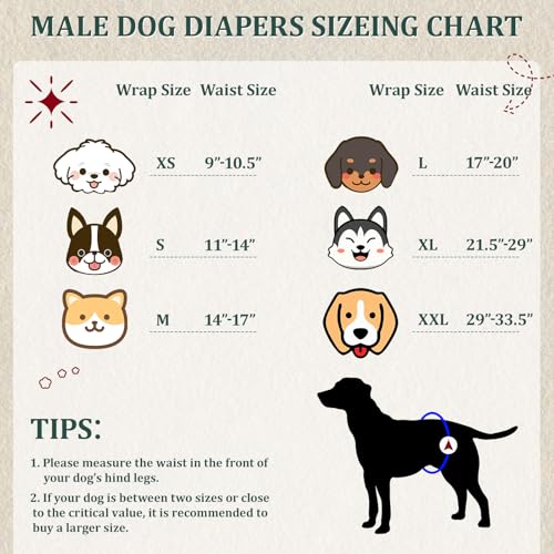 Image of Reusable Dog Diapers Male, Premium Washable Belly Bands for Dogs, Pack of 5, High Absorbing Large Dog Wraps for Doggie & Puppy in Incontinence or Excitable Urination and Training(L)