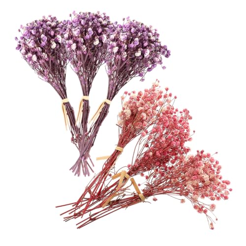 6pcs Mini Ramo de Flores Secas Babys Breath Color Surtido miniatura 1