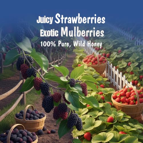 Image of Eatopia Sugar Free Mixed Berry Honey Jam | 100% Pure & Natural | Healthy Jam for Kids & Adults | 70% Real Fruit Berries | No Added Flavours & Preservatives | Sweetness from Real Fruits & Honey | Pack of 1 | 240g