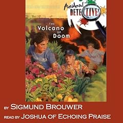 Page de couverture de The Volcano of Doom