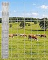 Wire Fence, 4FT x 328FT Galvanized Steel Livestock Fence, White Welded Farm Fence, Horse Wire Fencing, Rust Resistant Garden Grid Fencing Used to Farm and Garden.