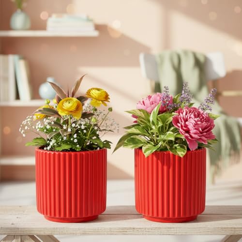 Image of Xtore 2Pc Striking Ribbed Red Ceramic Planter Pot for Indoor Plants & Bonsai Styling | Compact Round Design for Tabletop, Shelf & Desk Decor (Red, Pack of 2 - Planters only)