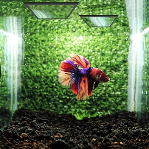 Image of Apausvcm 5 Pcs Fish Feeding Rings Set, Floating Aquarium Plant Corral 5 Sizes Square Fish Feeding Rings Fish Tank Aquarium Accessories for Bettas Goldfish Turtle (Black)