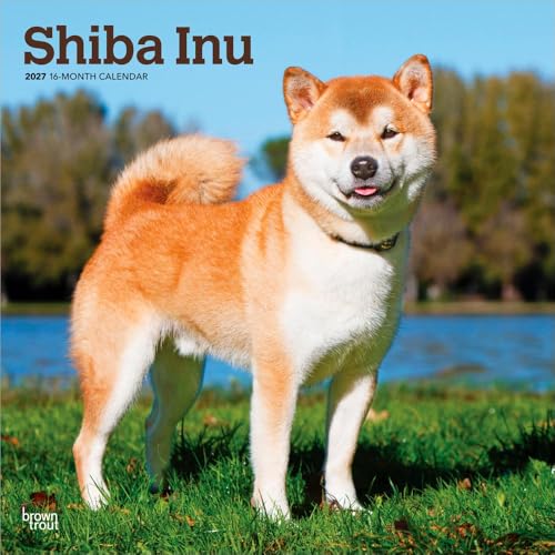Shiba Inu – Shiba 2027 – 16-Monatskalender: Original BrownTrout-Kalender [Mehrsprachig] [Kalender] (Wall-Kalender)