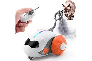 Smart Robotic Cat Toys with Remote Control for Seniors