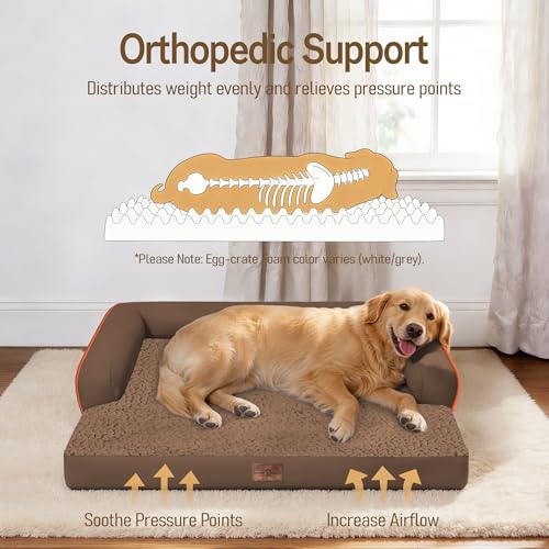 Image of Comfort Expression Washable Orthopedic Dog Bed for Extra Large Sized Dogs | Waterproof Memory Foam Pet Bed 42x30 Inch with Removable Cover with Non-Slip & Bolster, Dark Brown