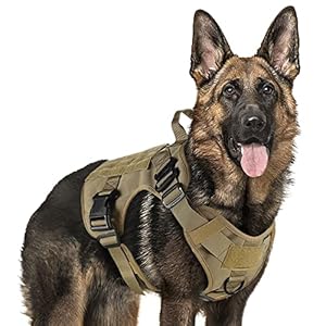 rabbitgoo Harnais Tactiques pour Chien L Marr...