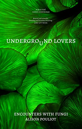 Underground Lovers view 2