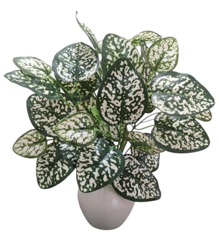 Image of Artificial Money Plant /Tree with Pot, White-Green | Natural Looking, Ornamental Plant, Interior Decor, Home /Shop /Office Decor