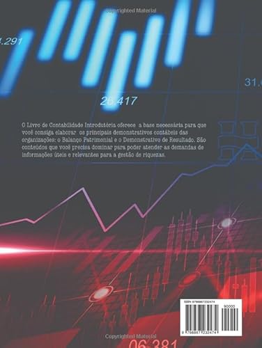 Contabilidade Introdutória (Contabilidade Direto ao Ponto) (Portuguese Edition)