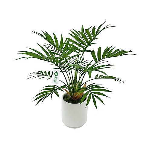 BESAMENATURE Artificial Palm Tree Plant, Potted Artificial Plant for Home Office Decoration...