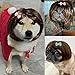 Funny Dog Wig Pet Costumes, Cat Costume Synthetic Hairpiece Cosplay Wigs, Headwear for Halloween Christmas Festivals Party Decor, Fancy Dress,Average Size for Most Dog Cat,Coffee Brown Straight