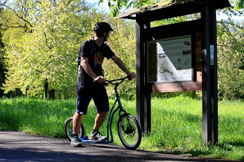 YEDOO Four Y40 Tretroller - bis 150 kg, mittelgroßer, Stabiler Kickscooter mit Scheibenbremsen und 20/16 Lufträdern - Dogscooter für Erwachsene, für Natur und urbanes Off-Road. (Black)