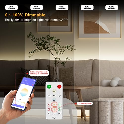 Image of PAUTIX CCT LED Controller Kit SP642E,iOS /Andriod App Control 2.4G RF Wireless Remote Control,CCT LED Controller /Dimmer,for CCT LED Strip Light,with Timing Function,Music Mode,Group Control