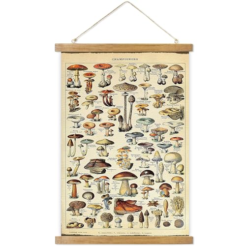 ABoby Vintage Hanging Posters, Decorative Mushroom Wall Art Prints, Printed on Linen with Wood Frames, Ready to Hang