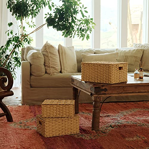 Panier osier rectangle lot de 3 avec couvercles boîtes de rangement - 3