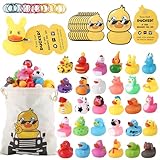 Rubber Ducks Kits 30 Pcs Assorted Duckies with 30 Duck Tags and 40 Rubber Bands with Storage Bag Random Duckies for Car Ducking Decor, Baby Bath & Pool Toys, Party Favors